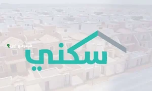 موعد صرف الدعم السكني لشهر يونيو 2025 وأبرز شروط الحصول عليه – صرف الدعم السكني لشهر 6 – 2025